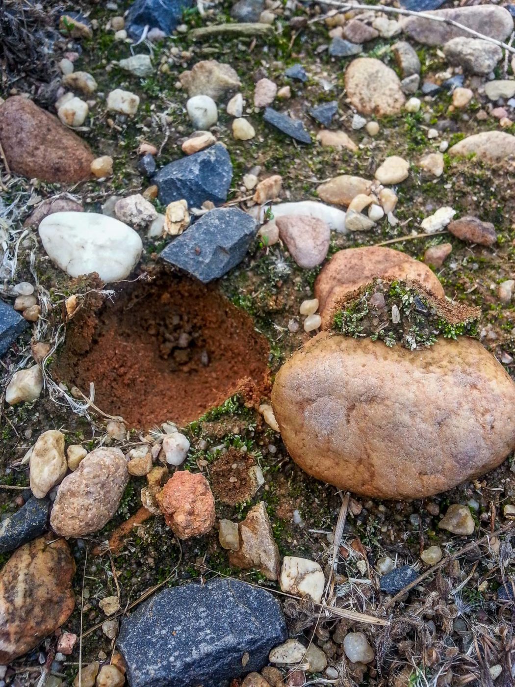 2020-08-21 - 2020-08-23 - Bayern