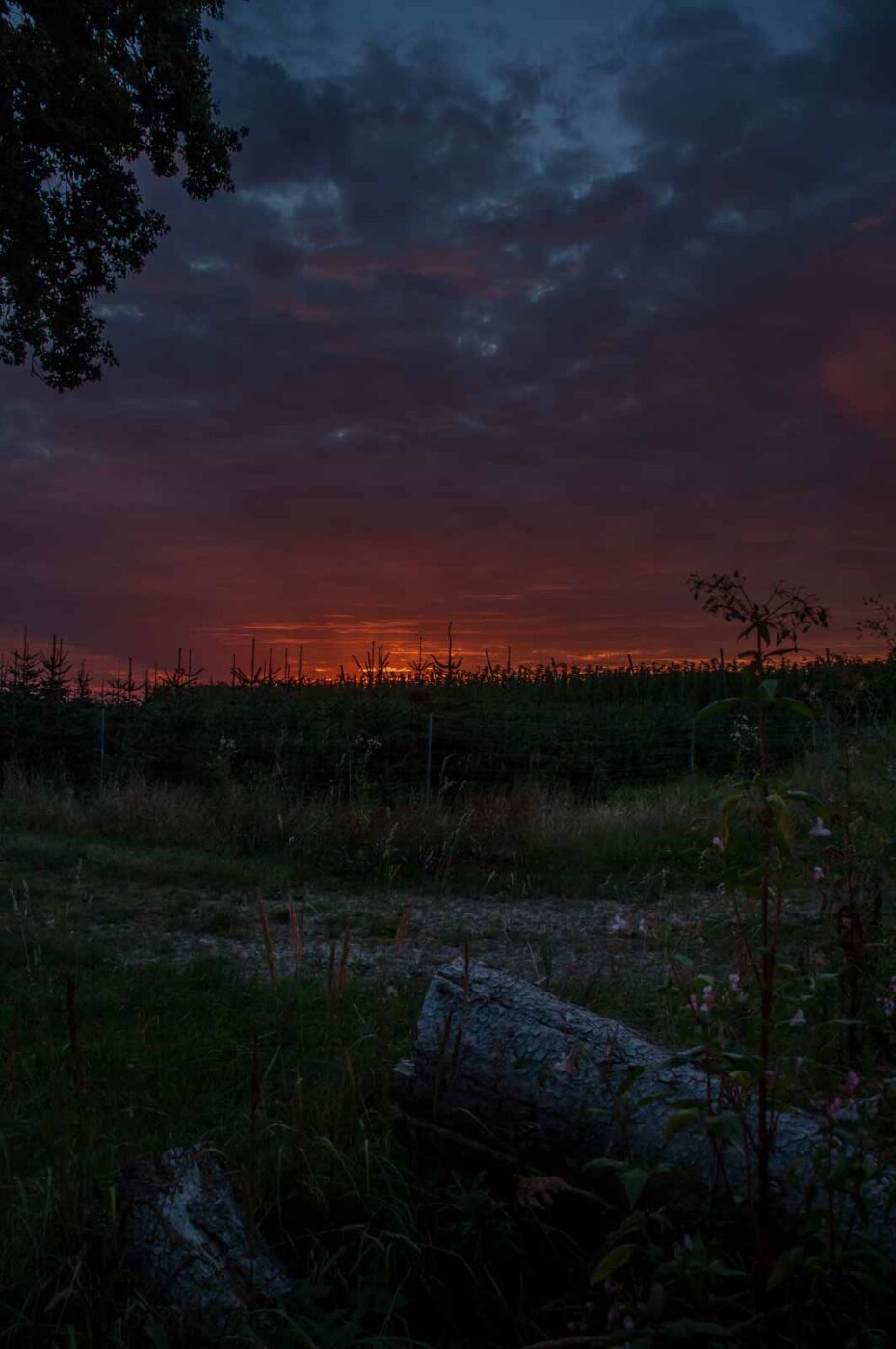 2020-08-21 - 2020-08-23 - Bayern