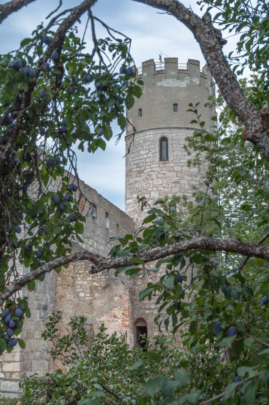 2020-08-21 - 2020-08-23 - Bayern