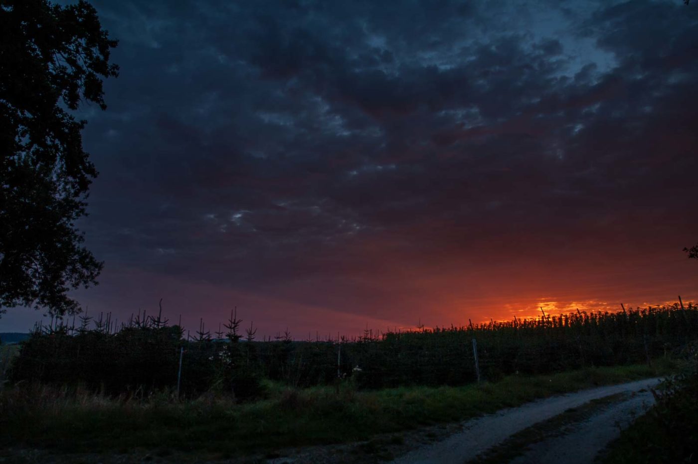 2020-08-21 - 2020-08-23 - Bayern