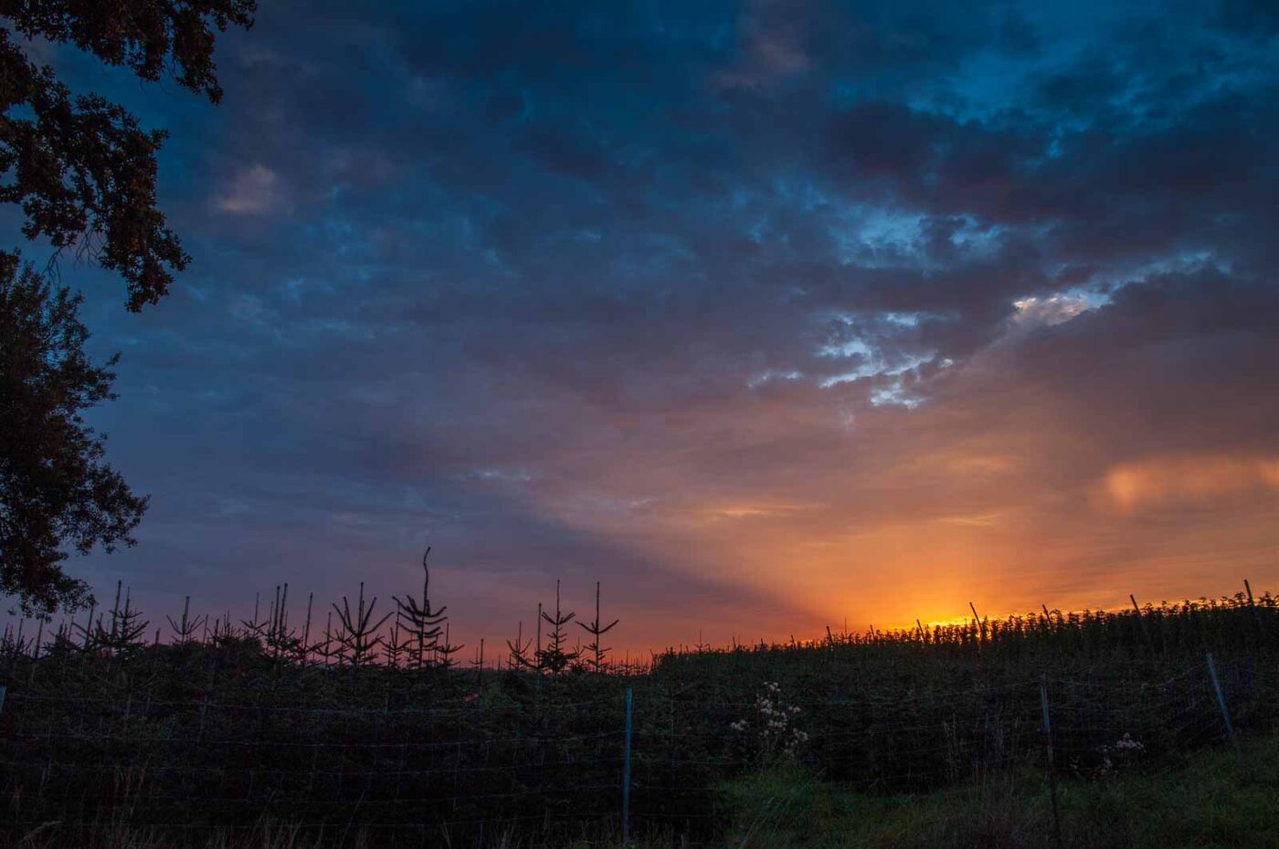 2020-08-21 - 2020-08-23 - Bayern