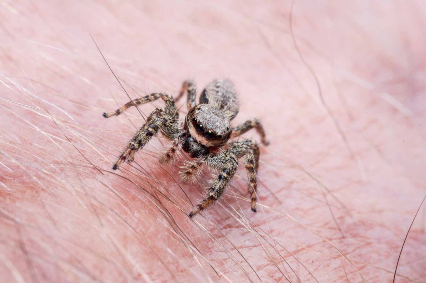 2020-08-29 - RE-Sidenzia auf'm BallKong