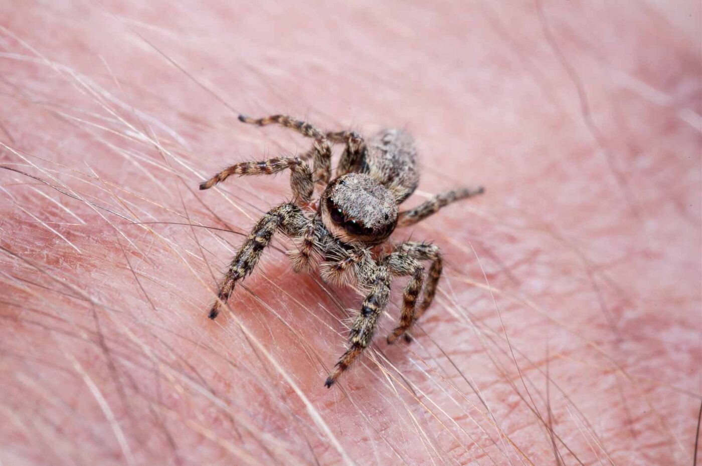 2020-08-29 - RE-Sidenzia auf'm BallKong