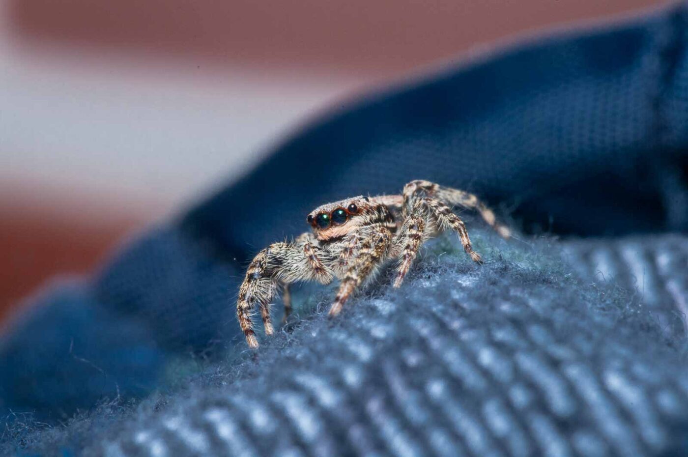 2020-08-29 - RE-Sidenzia auf'm BallKong