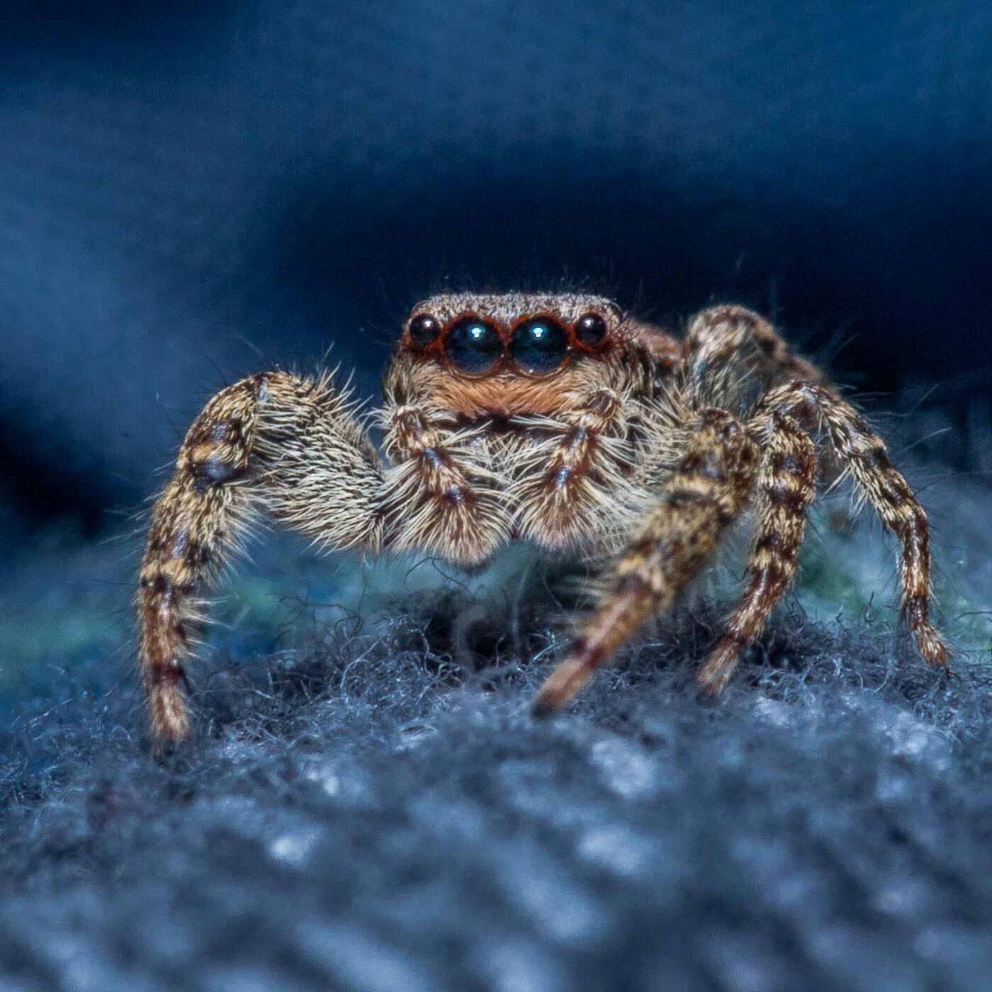 2020-08-29 - RE-Sidenzia auf'm BallKong