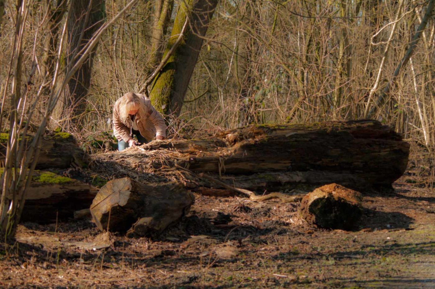 2019-02-16 - NSG Klöppersberg C-R