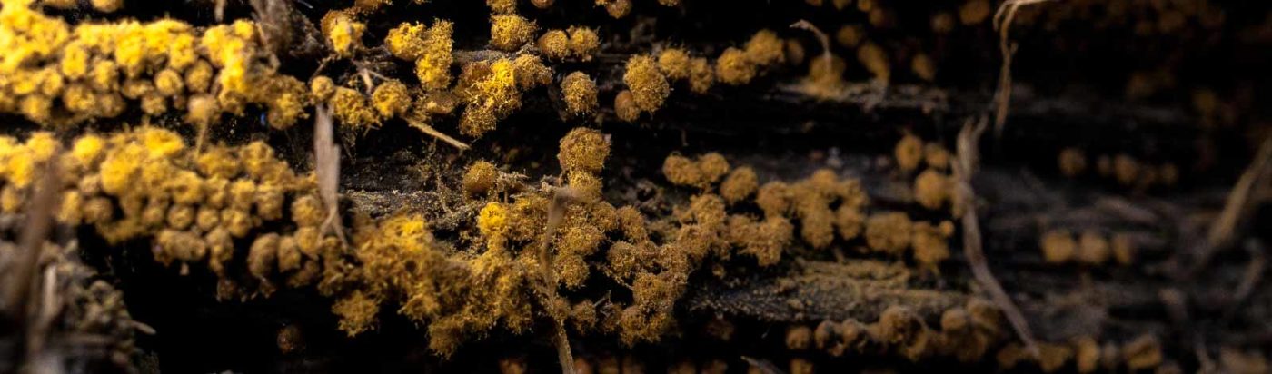 2019-02-16 - NSG Klöppersberg C-R