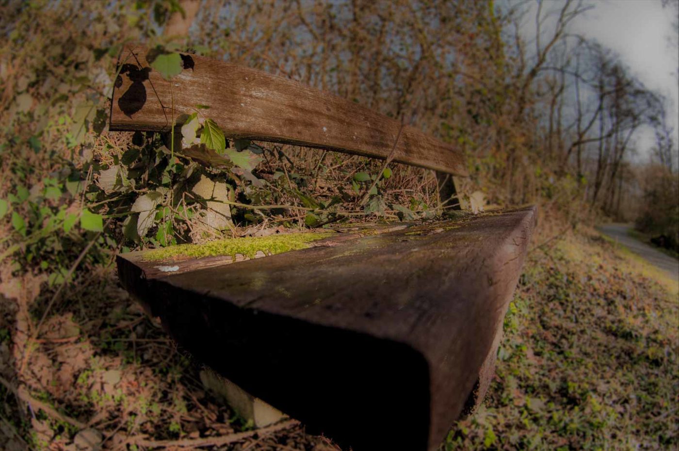 2019-02-16 - NSG Klöppersberg C-R