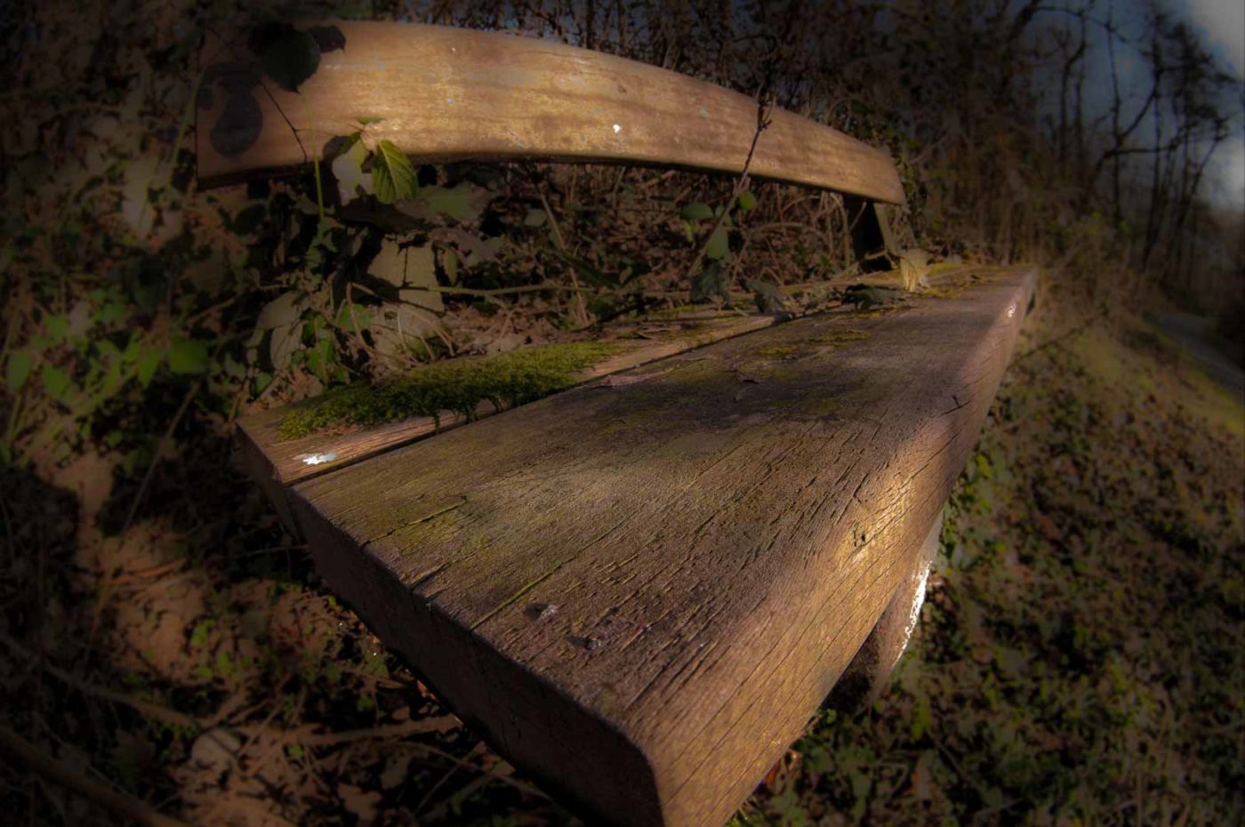 2019-02-16 - NSG Klöppersberg C-R