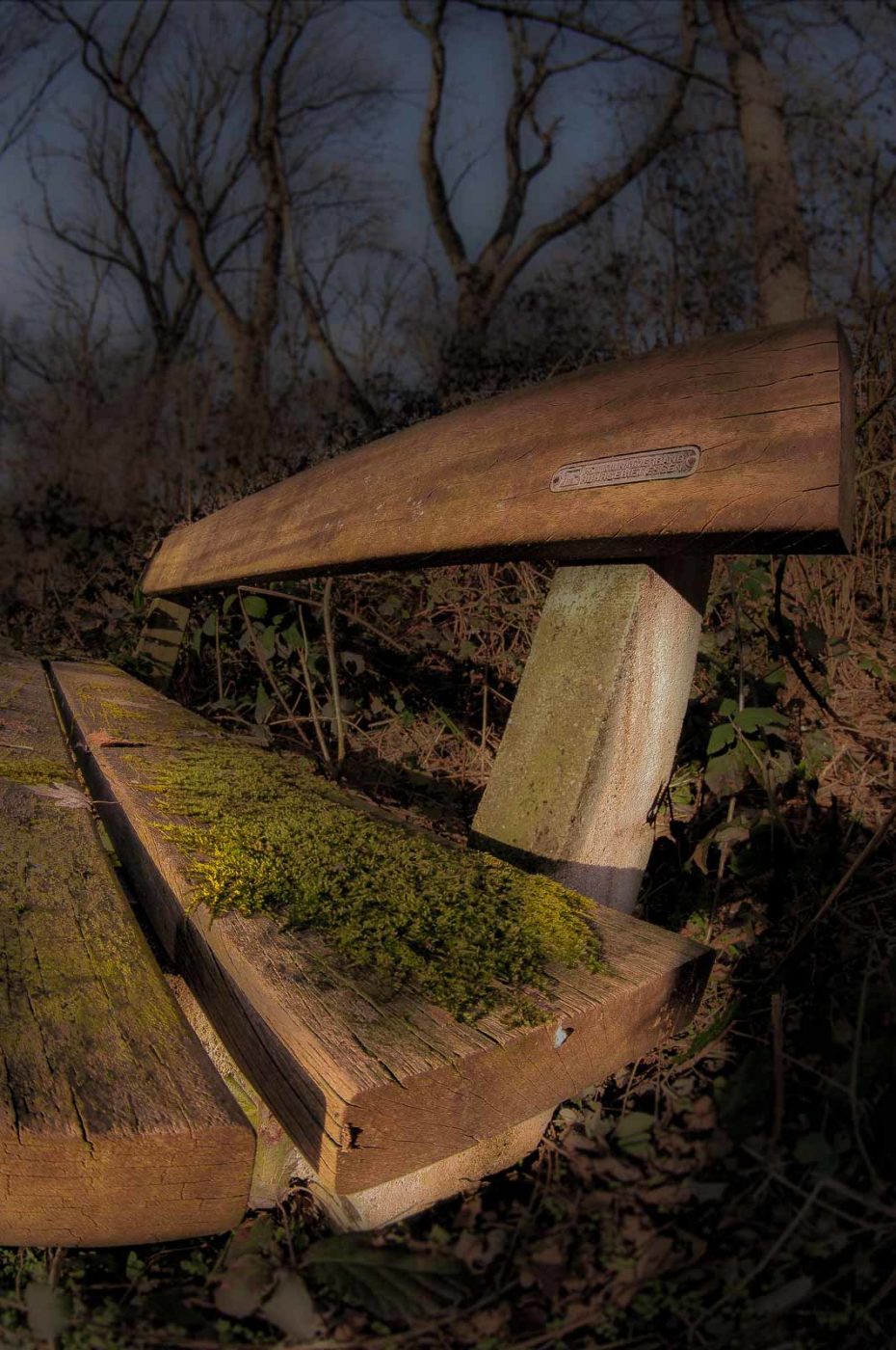 2019-02-16 - NSG Klöppersberg C-R