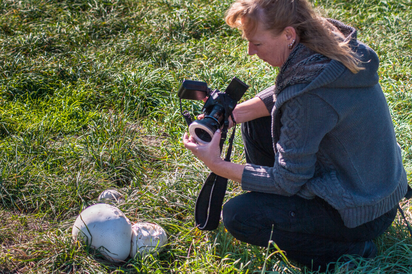 2020-0-18 - NSG Hürfeldhalde Dorsten