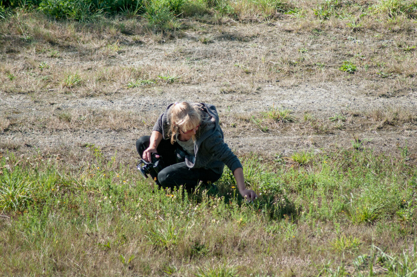 2020-0-18 - NSG Hürfeldhalde Dorsten