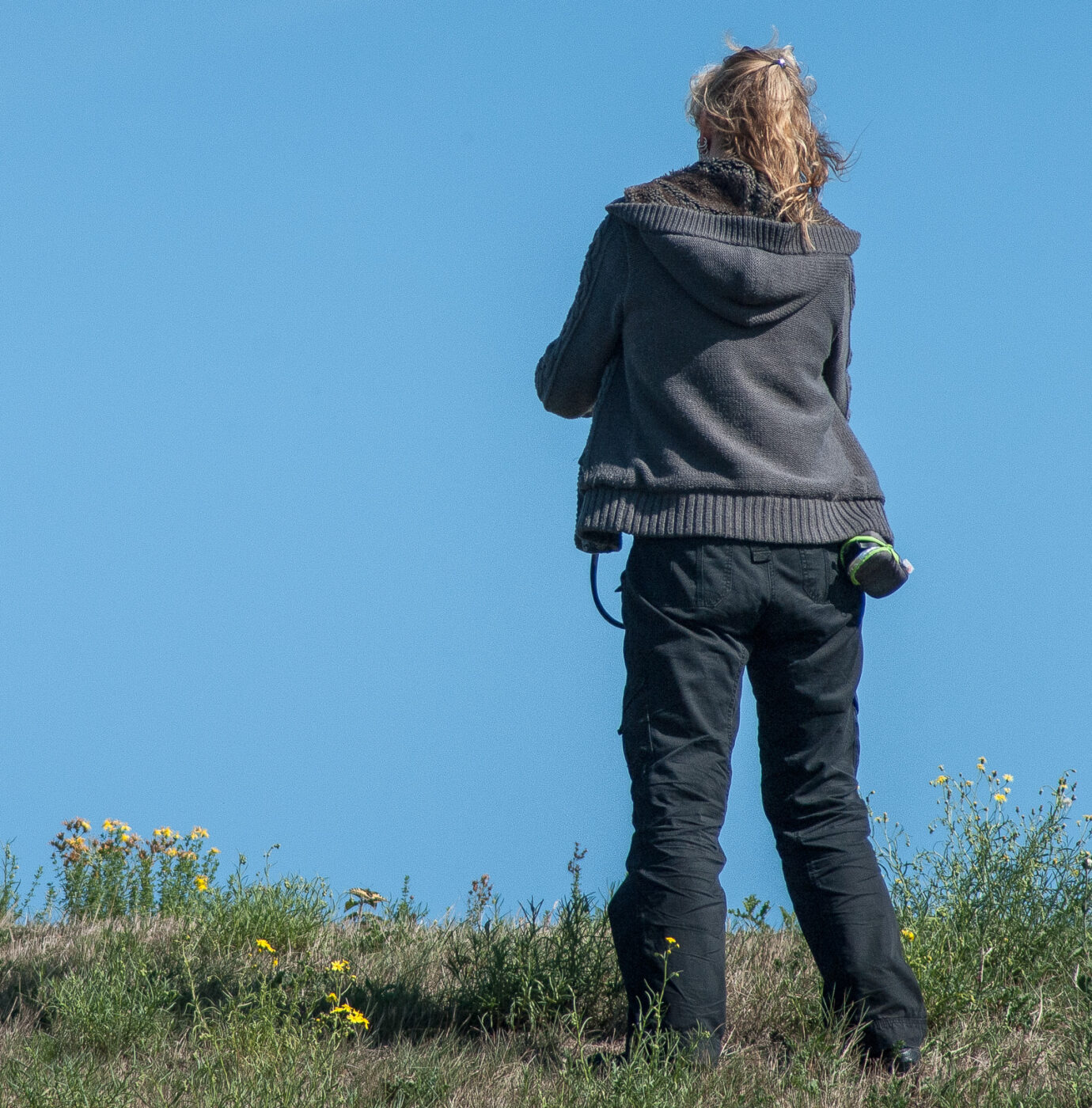 2020-0-18 - NSG Hürfeldhalde Dorsten