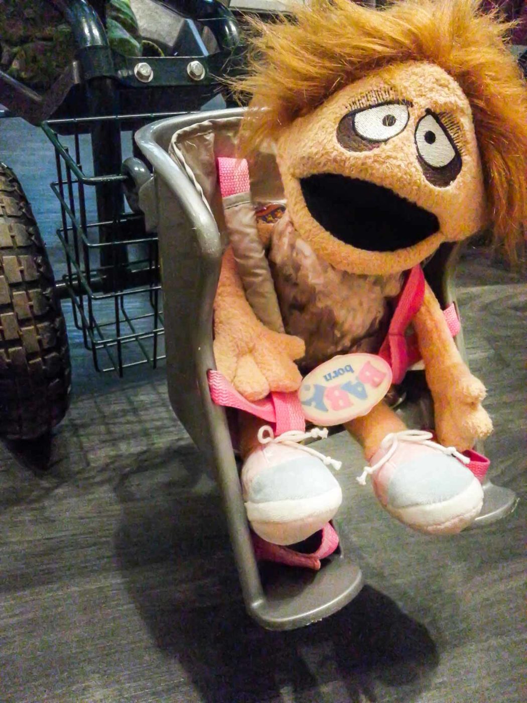 2020-10-14 - Traudls Kindersitz