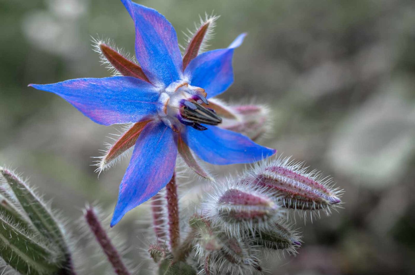 2020-10-20 - Evangelischer Friedhof Wattenscheid