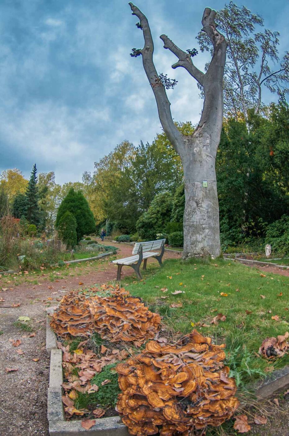 2020-10-20 - Evangelischer Friedhof Wattenscheid