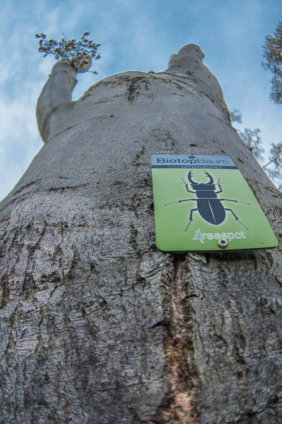 2020-10-20 - Evangelischer Friedhof Wattenscheid