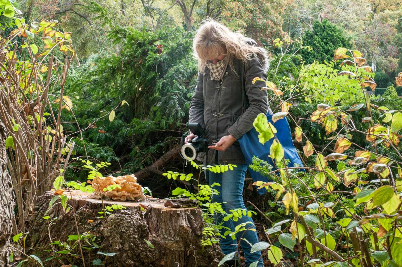 2020-10-20 - Evangelischer Friedhof Wattenscheid