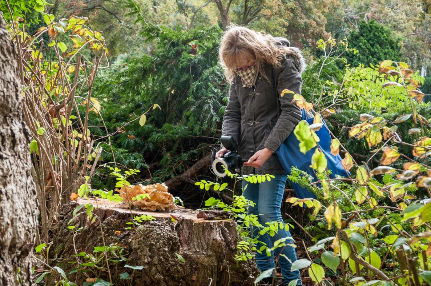 2020-10-20 - Evangelischer Friedhof Wattenscheid
