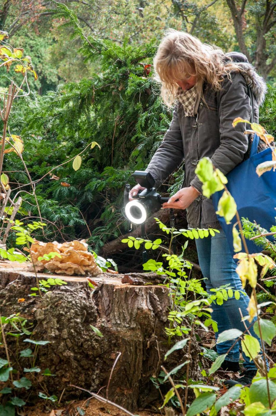 2020-10-20 - Evangelischer Friedhof Wattenscheid