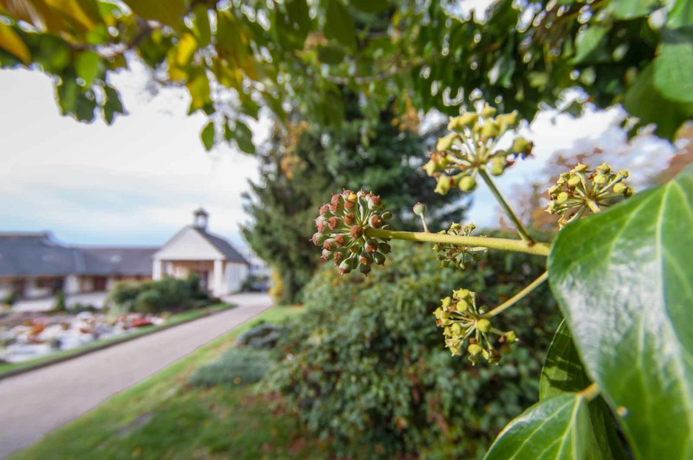 2020-10-20 - Evangelischer Friedhof Wattenscheid