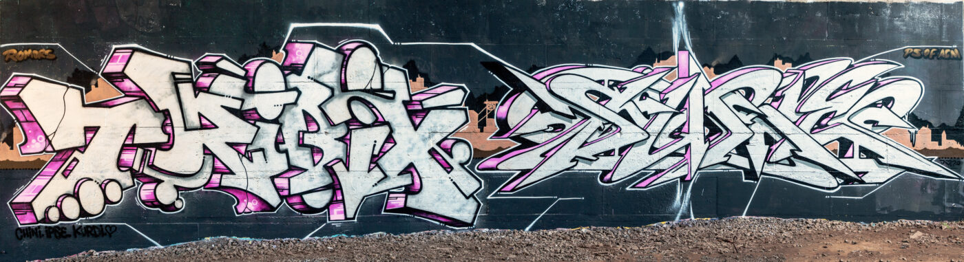 2020-07-12 - NSG Hafen Herten