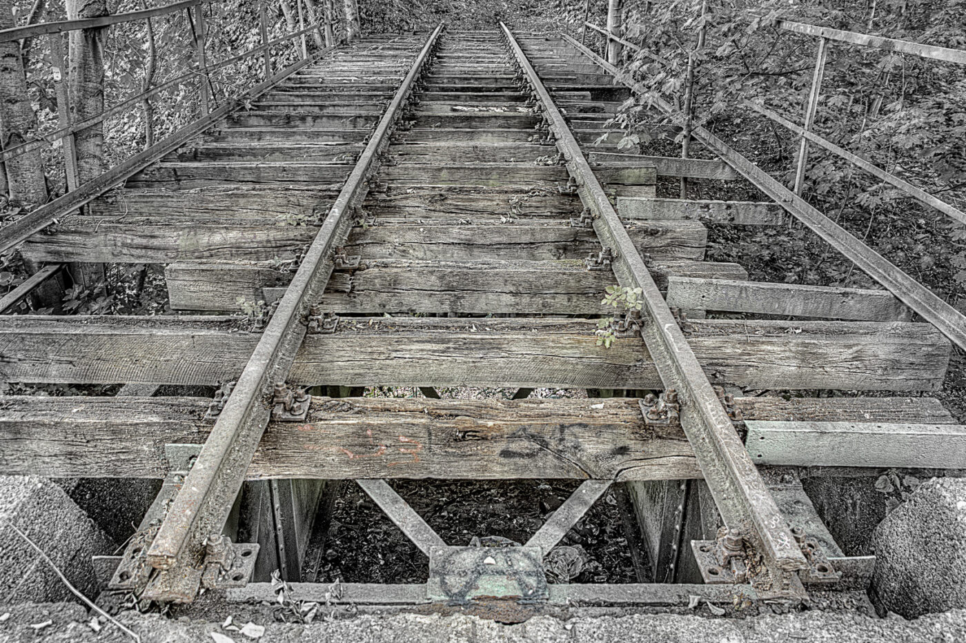 2020-07-12 - NSG Hafen Herten