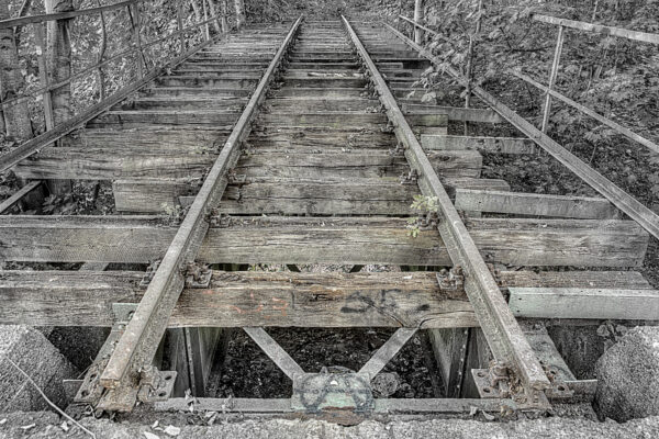 2020-07-12 - NSG Hafen Herten