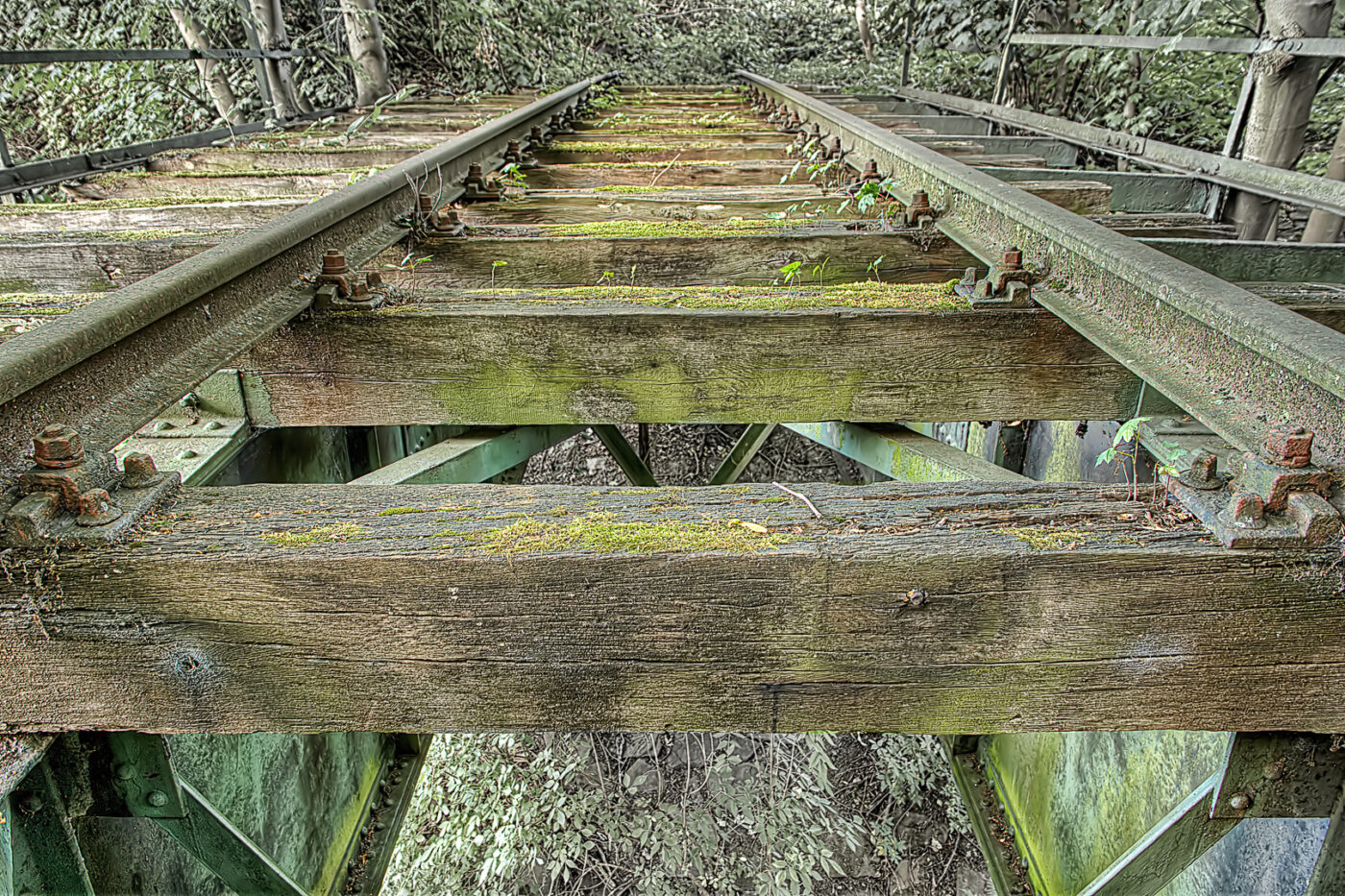 2020-07-12 - NSG Hafen Herten