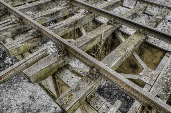 2020-07-12 - NSG Hafen Herten