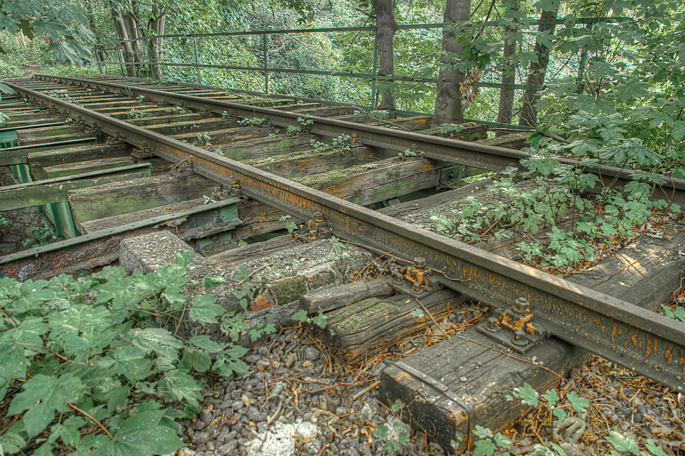 2020-07-12 - NSG Hafen Herten