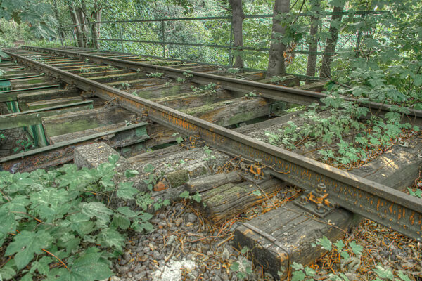 2020-07-12 - NSG Hafen Herten