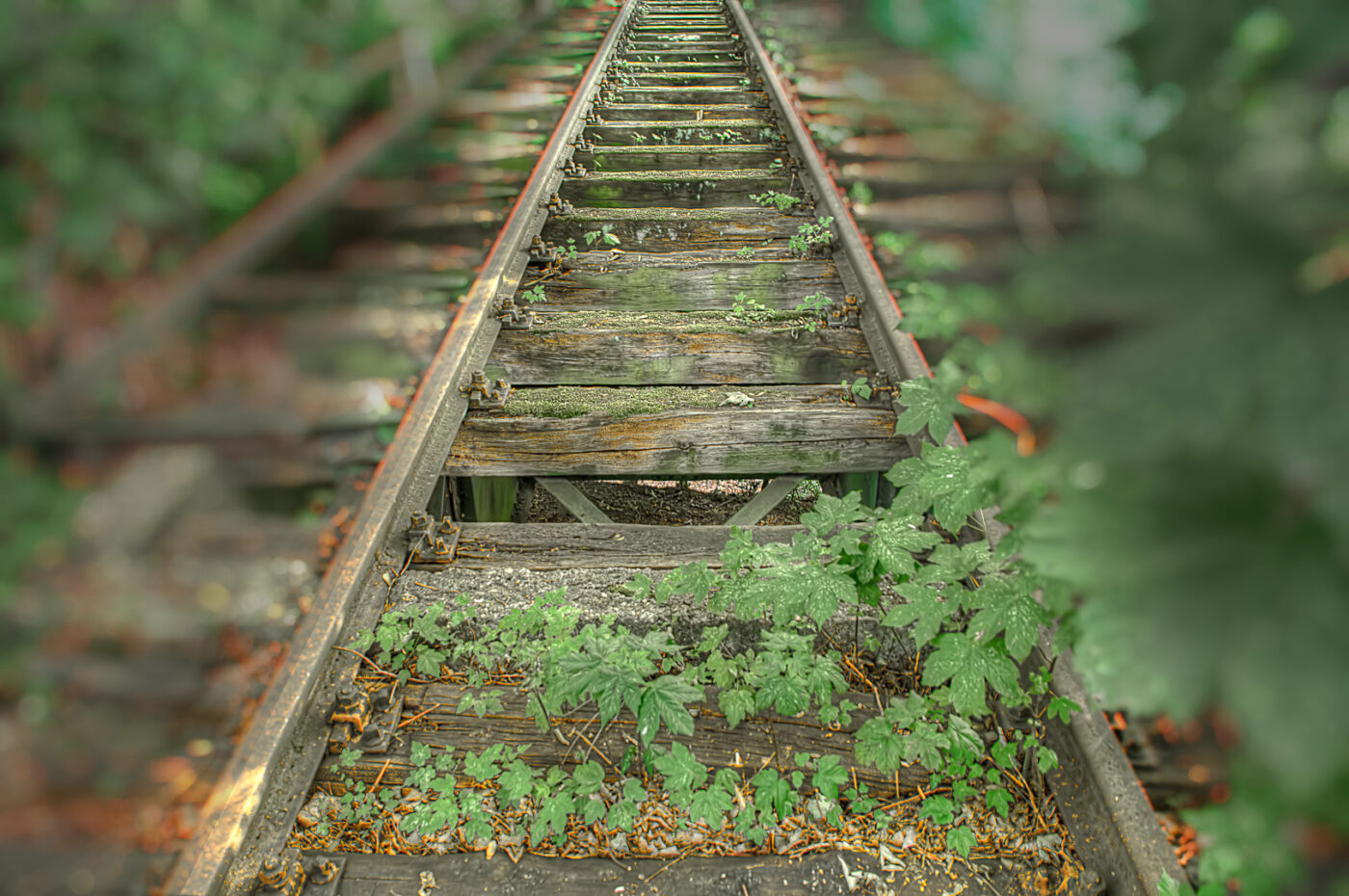 2020-07-12 - NSG Hafen Herten