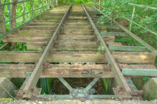 2020-07-12 - NSG Hafen Herten