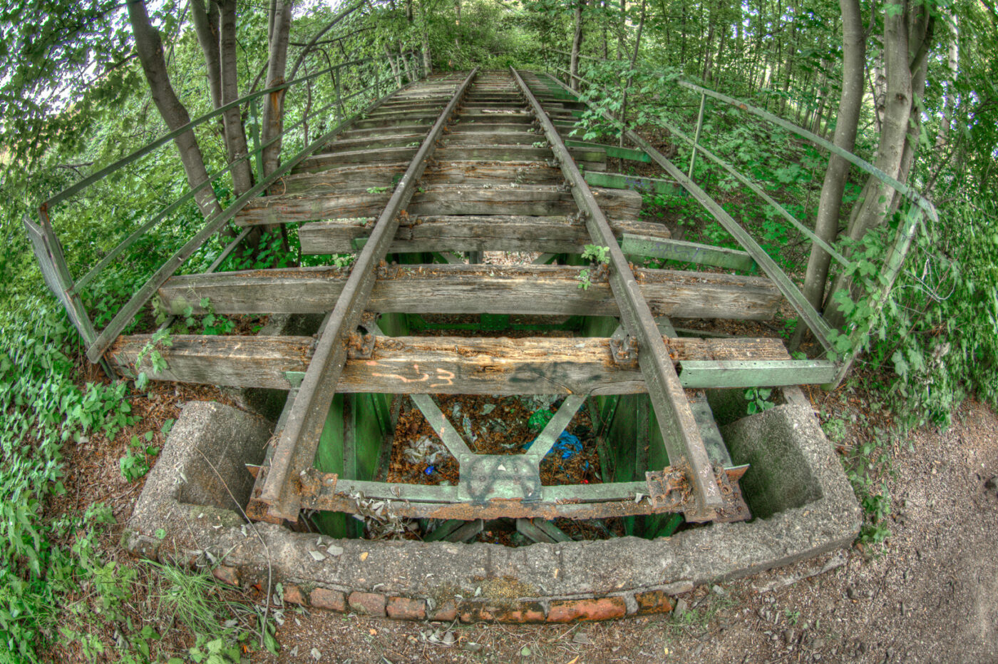 2020-07-12 - NSG Hafen Herten