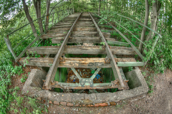 2020-07-12 - NSG Hafen Herten