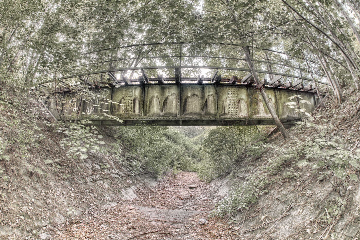 2020-07-12 - NSG Hafen Herten