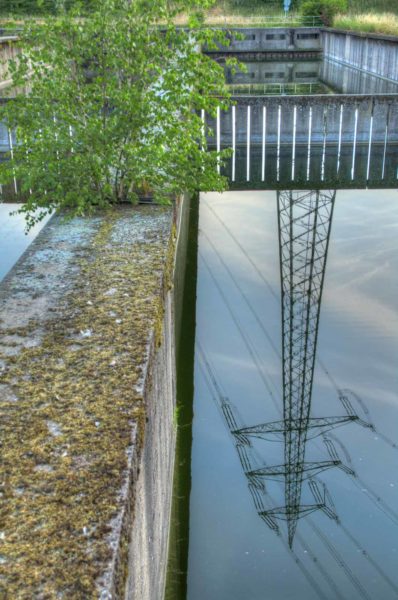 2020-07-12 - NSG Hafen Herten