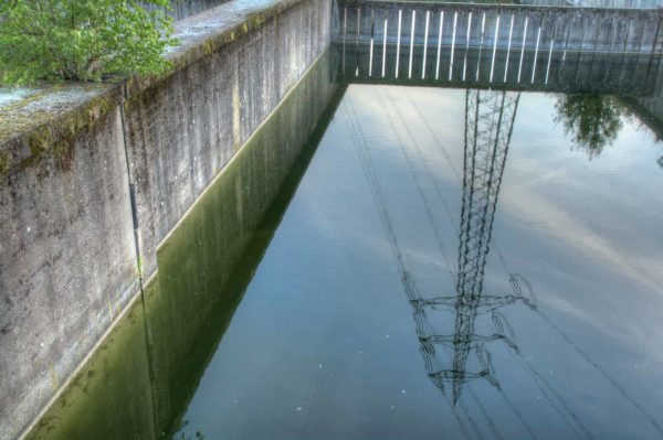 2020-07-12 - NSG Hafen Herten