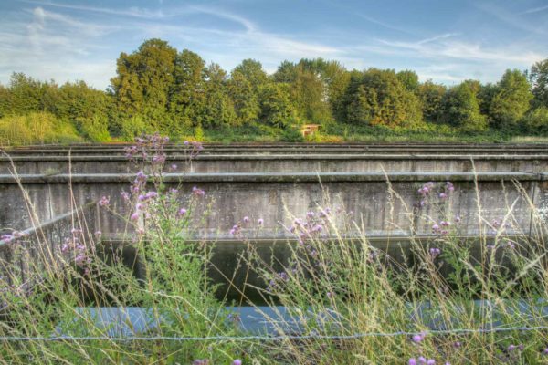 2020-07-12 - NSG Hafen Herten