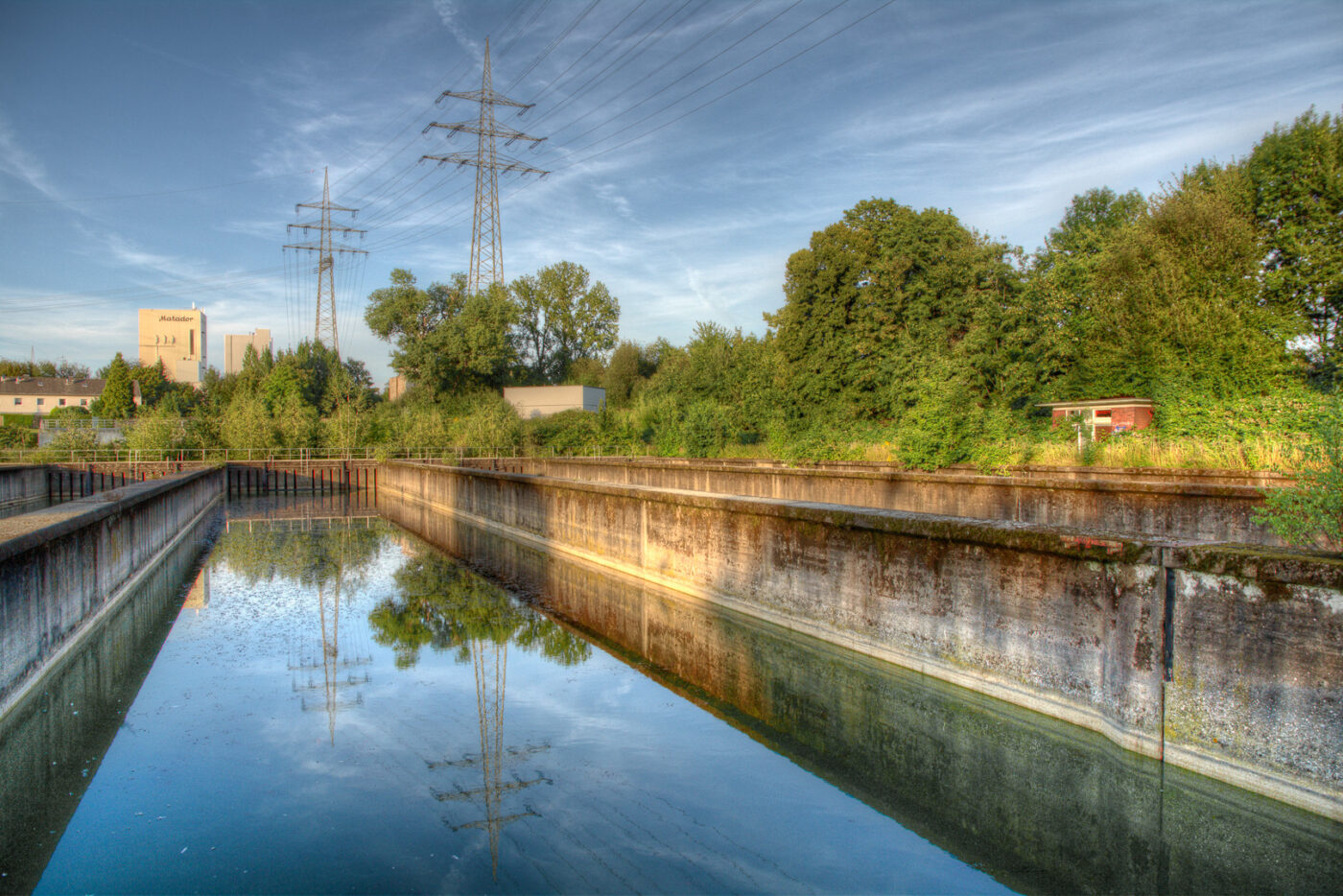 2020-07-12 - NSG Hafen Herten