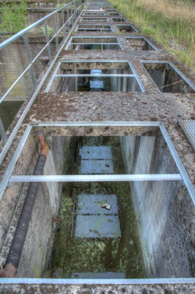 2020-07-12 - NSG Hafen Herten