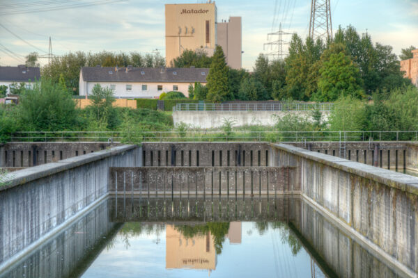2020-07-12 - NSG Hafen Herten