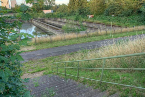 2020-07-12 - NSG Hafen Herten