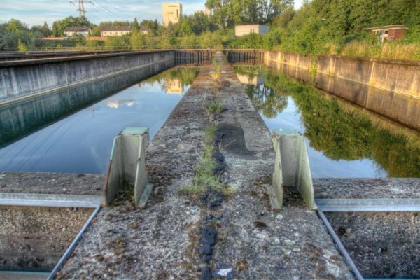 2020-07-12 - NSG Hafen Herten
