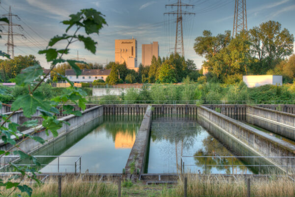 2020-07-12 - NSG Hafen Herten