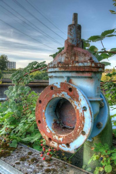 2020-07-12 - NSG Hafen Herten