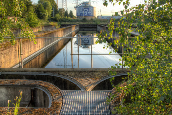 2020-07-12 - NSG Hafen Herten