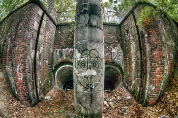 2020-07-12 - NSG Hafen Herten