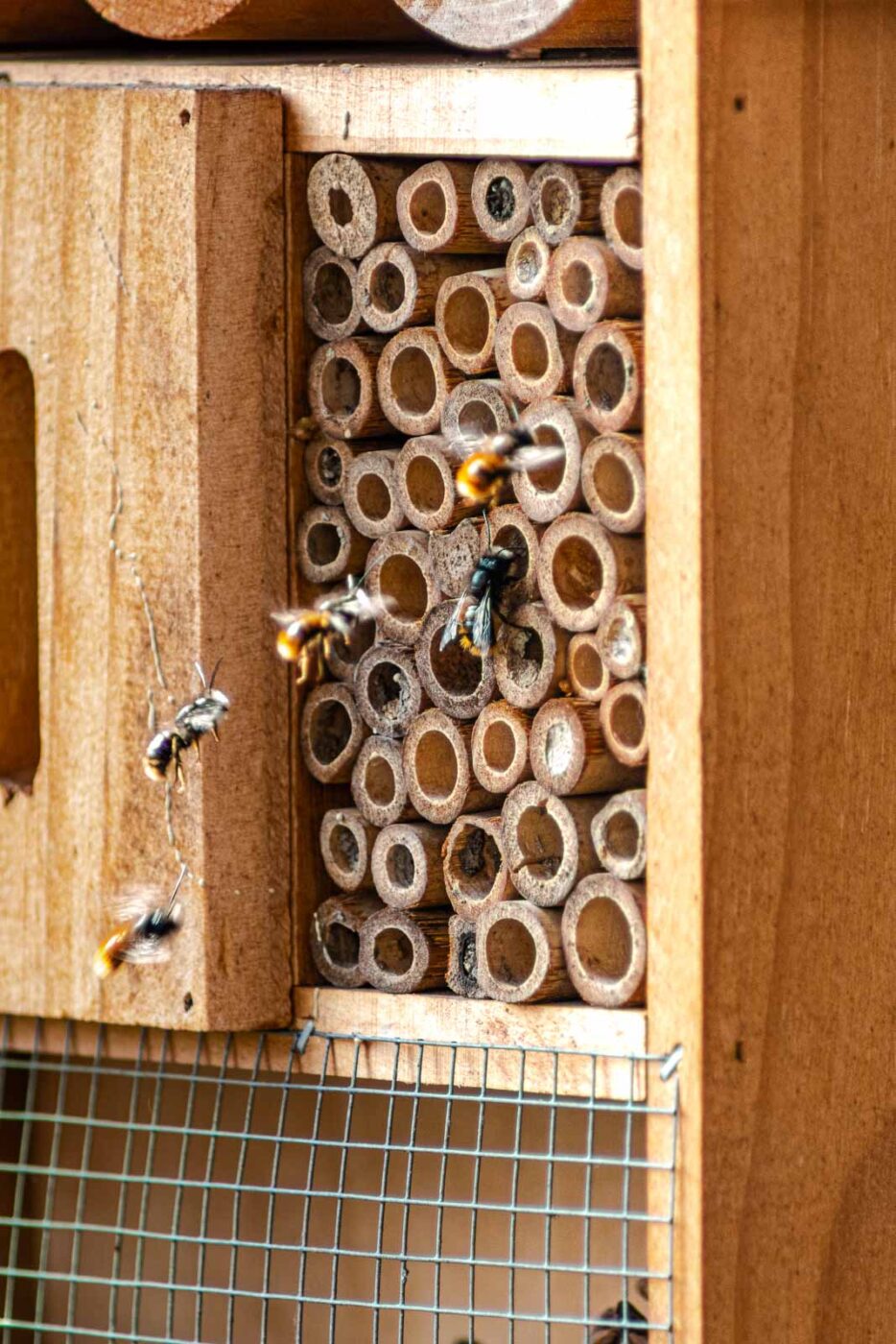 2021-03-25 - RE-Sidenzia auf'm BallKong